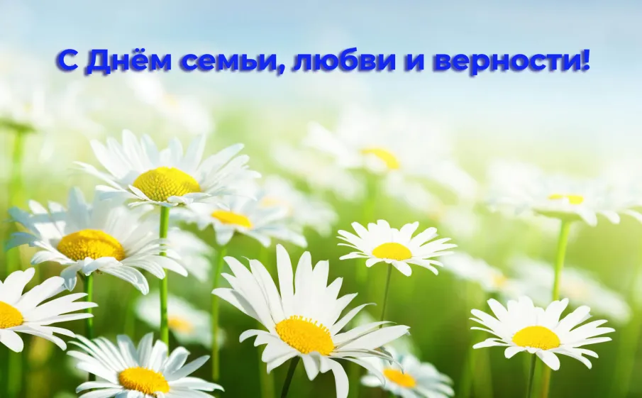 Уважаемые жители Павловского округа! Сердечно поздравляем вас с Днем любви, семьи и верности!